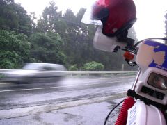 雨宿り中