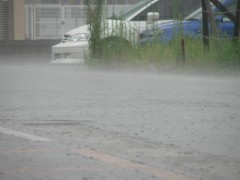 雨…