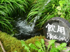 帆山亭の湧水