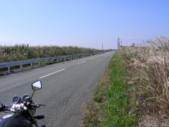 ミルクロード秋模様