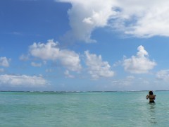 百合ヶ浜