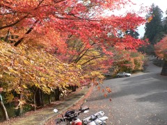 英彦山の紅葉