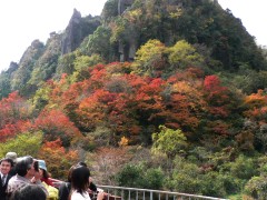 一目八景の紅葉