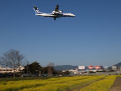 ANA DHC-8-Q400