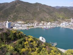 マンサクが彩る丘の向こうに日生港を望む