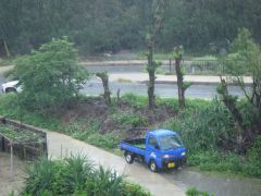 激しい雨