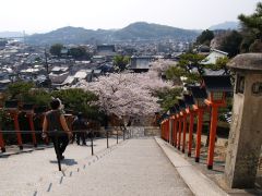 西国寺参道
