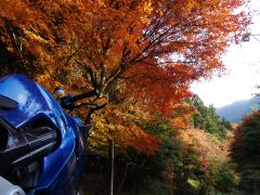 英彦山の紅葉