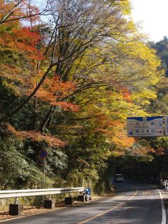 深耶馬溪の紅葉