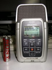 ZOOM H2