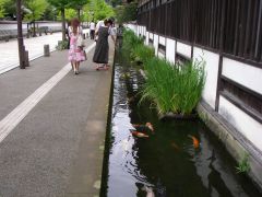 津和野、殿町通り