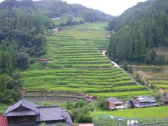 星野村広内・上原地区の棚田