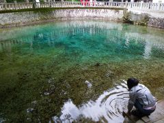 別府弁天池湧水