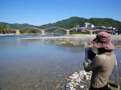 錦帯橋にて