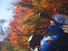 折戸渓谷の紅葉
