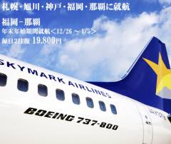SKYMARK Web