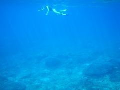 蒼い海
