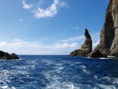 嫁島周辺の海