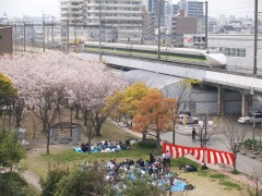 The お花見