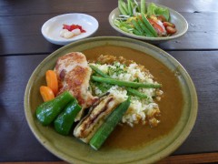 チキンカレー