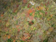雲仙の紅葉(IMGP4094)