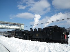 SL冬の湿原号
