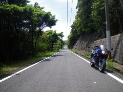 県道229号扇山公園線