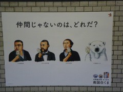 白い犬ならぬ、シロクマ