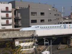 P4072169.JPG