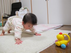 ハイハイ直前