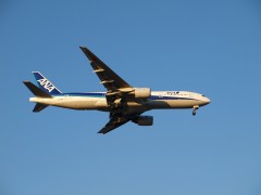 ANA JA703A