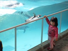 ペンギンとなっちゃん