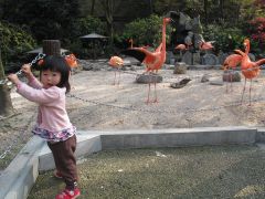 フラミンゴとなっちゃん