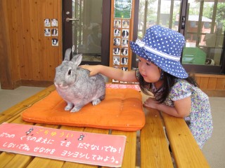 ウサギさんとなっちゃん