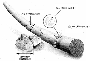 PMの大きさ（概念図）
