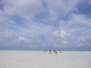 IMGP2154.JPG