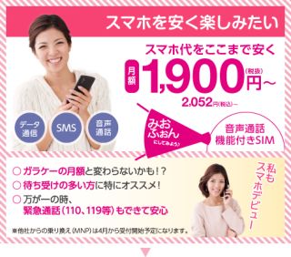 月額1,900円(税抜)~