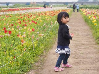 チューリップとなっちゃん