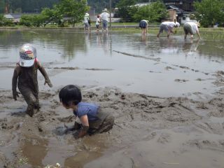 田植えを背景にどろんこ遊びに熱中!