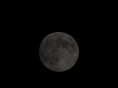 OM用 ZUIKO 300mm X2(P9083540.JPG)