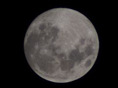 MEADE ETX-80AT 400mm X2(P9083561.JPG)