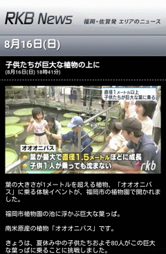子供たちが巨大な植物の上に