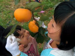 IMG_20151101_104853
