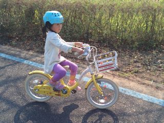 IMG_20151103_102217