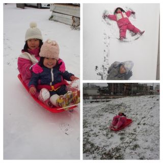 こんだけ積もったら遊ぶしかないね
