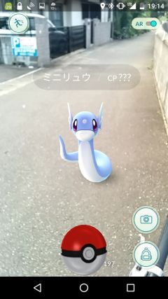 野生のミニリュウ発見!!