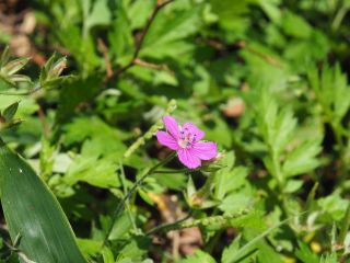 P9230161.JPG