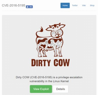 CVE-2016-5195