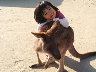 カンガルーとあいかちゃん