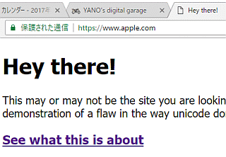 本物のapple.comのように見えるが…
